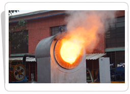 燃煤燃燒機(jī)